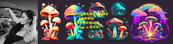 бошки Корсаков