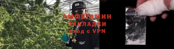 ПСИЛОЦИБИНОВЫЕ ГРИБЫ Краснослободск