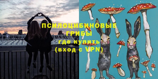 бошки Корсаков