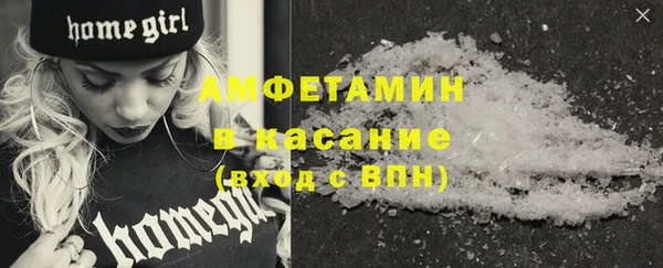 прущие грибы Краснотурьинск